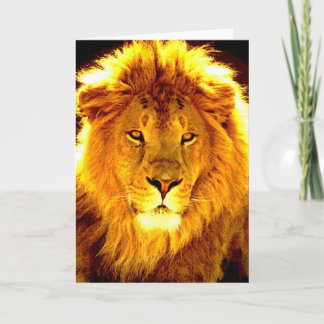 Carte Lion