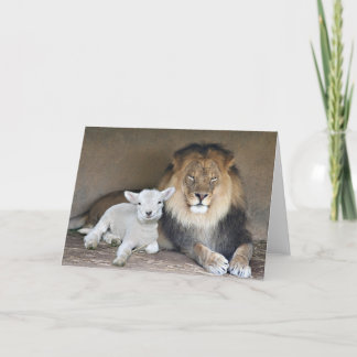 Carte Lion and the lamb