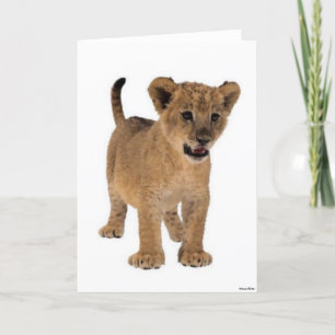 Carte Lion Baby Card