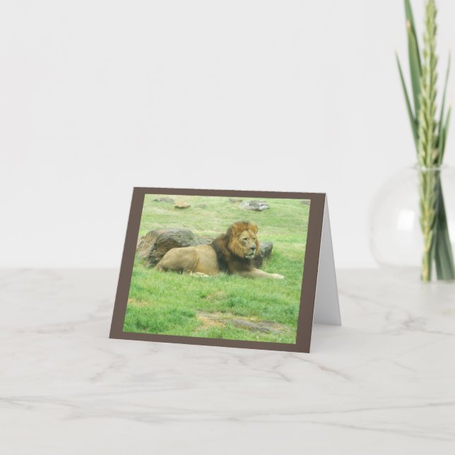 Carte Lion Inspiration Note Card (Devant)