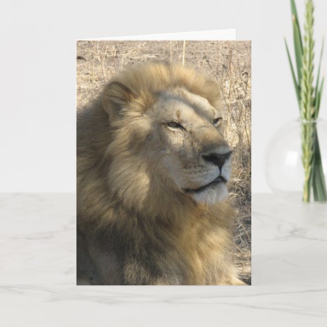Carte Lion masculin (Devant)