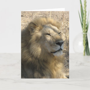 Carte Lion masculin