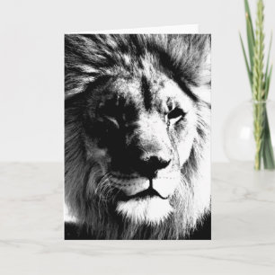 Carte Lion noir et blanc