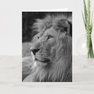 Carte Lion noir et blanc - Animal sauvage
