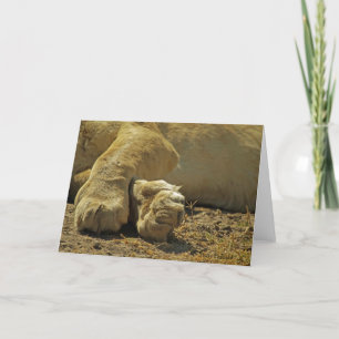 Carte Lion Paws
