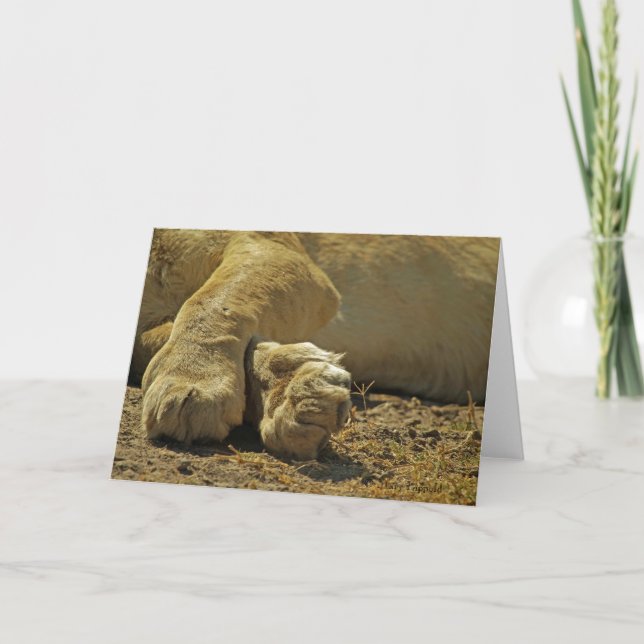 Carte Lion Paws (Devant)