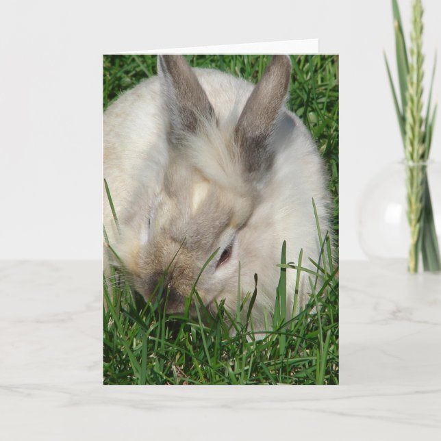 Carte Lionhead Bunny All Occasions  (Devant)