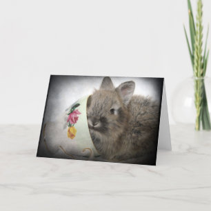 Carte Lionhead Bunny and Teacup All Occasions 