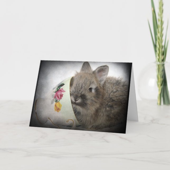 Carte Lionhead Bunny and Teacup All Occasions  (Devant)