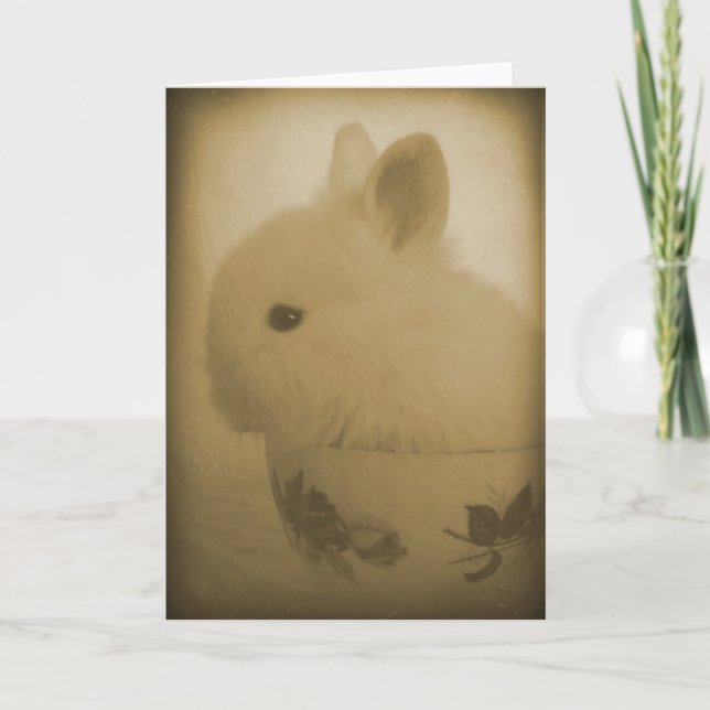 Carte Lionhead Bunny et Teacup (Devant)