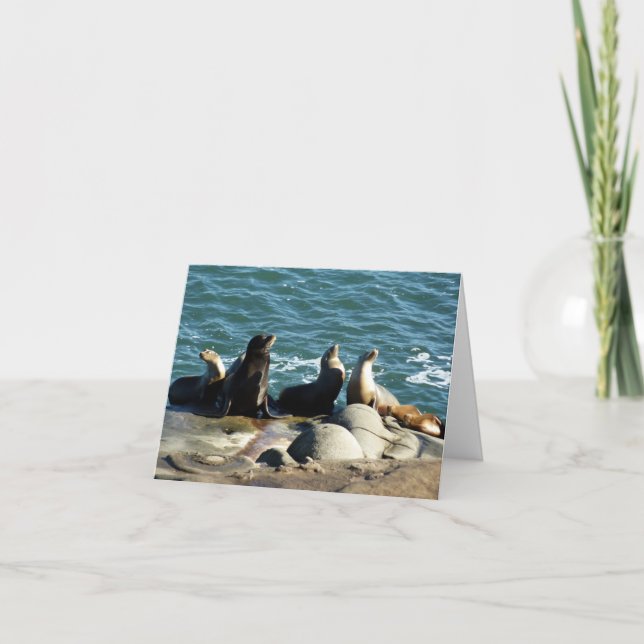 Carte Lions de la mer de San Diego (Devant)