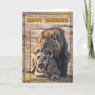 Carte Lions mâles