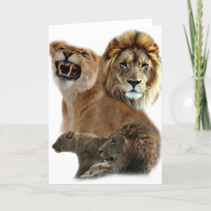 Carte Lions Pride