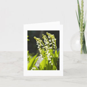 Carte Lis de la vallée de mon jardin….