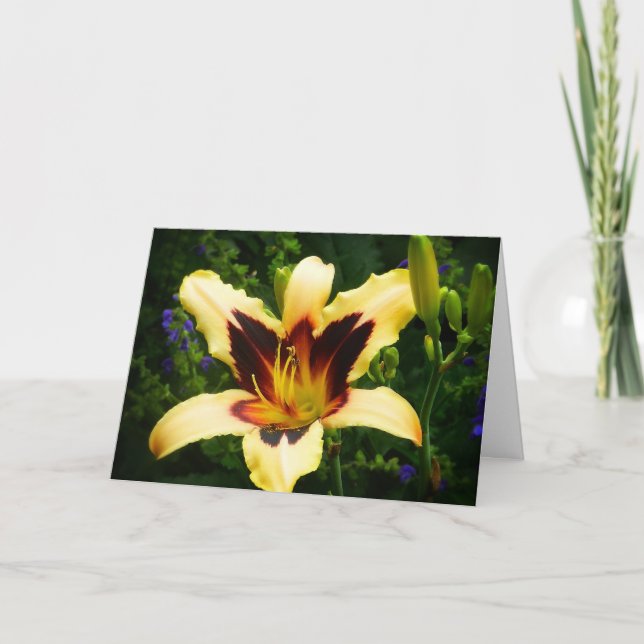 Carte Lis orange (Devant)