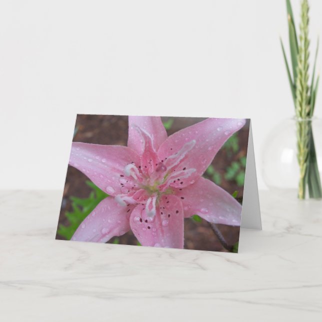 Carte Lis rose après une douche (Devant)