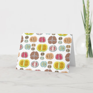 Carte Lithops - transparent