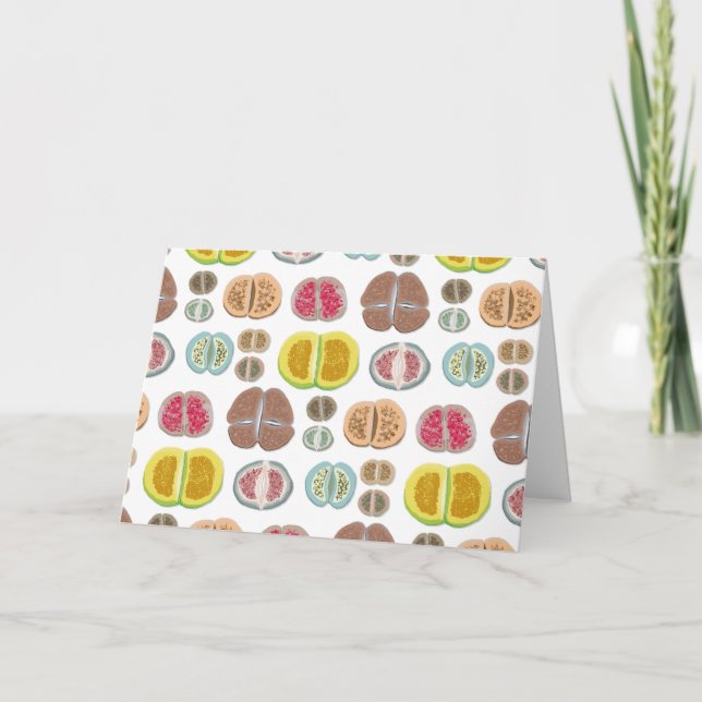 Carte Lithops - transparent (Devant)