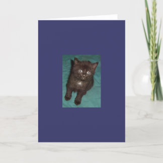 Carte Little Black Kitten