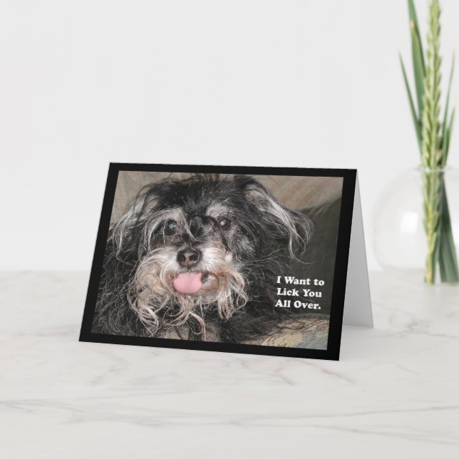 Carte "Little Dog Joey : Je vais te faire un câlin (Devant)