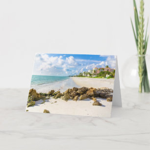 Carte Littoral   Naples Pier, sud-ouest de la Floride