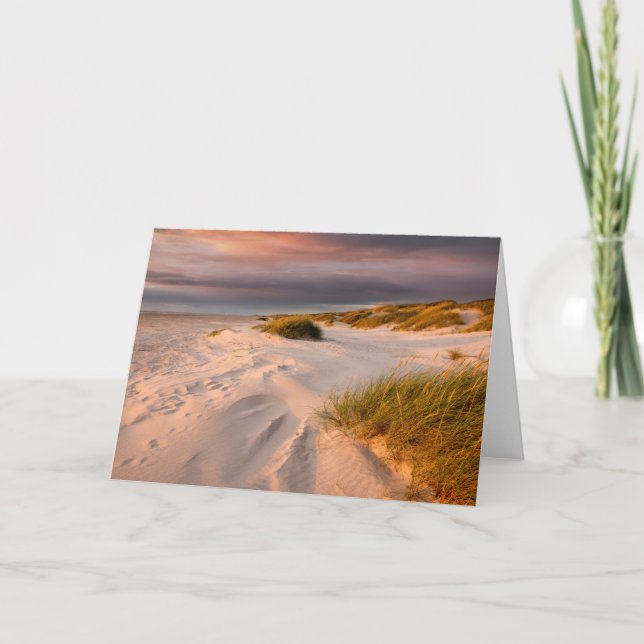 Carte Littoral | Saltum Beach, Danemark (Devant)