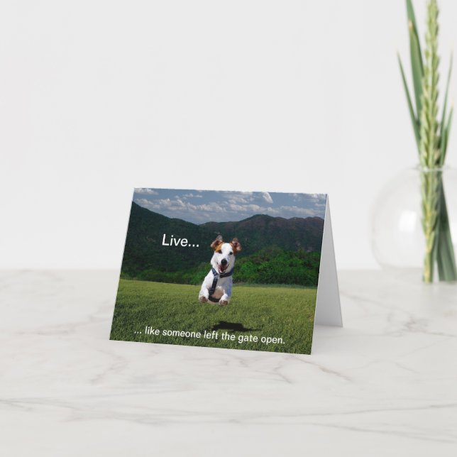 Carte "Live Like Someone Left the Gate Open" Note Cards (Devant)