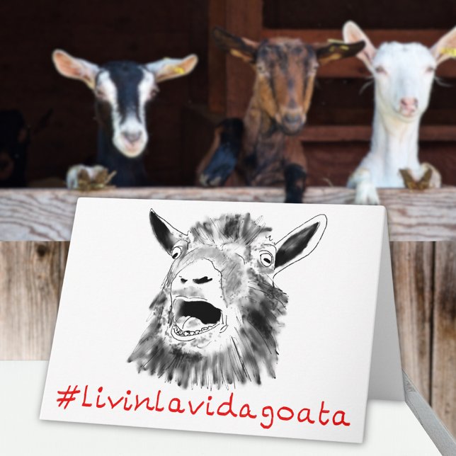 Carte Livin La Vida Goata Drôle crier une chèvre (Funny screaming goat quote livin la Vida goata fun greetings card)