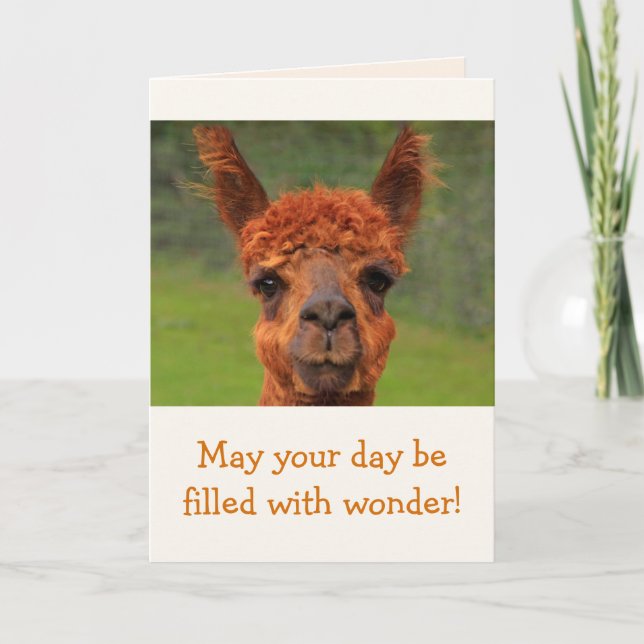 Carte Llama Wonder Anniversaire (Devant)