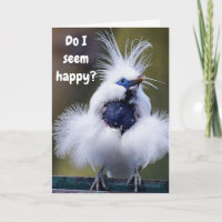 "L'OISEAU COMÉDIQUE" DITES QUE TU TURNES 50 PAS MO