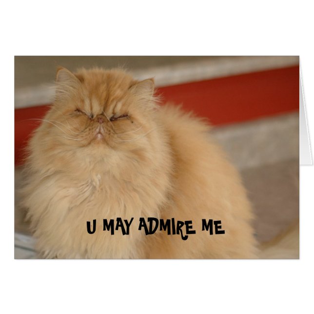 Carte LOL Cat (Devant horizontal)