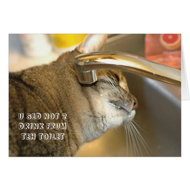 Carte LOL Cat (Devant horizontal)