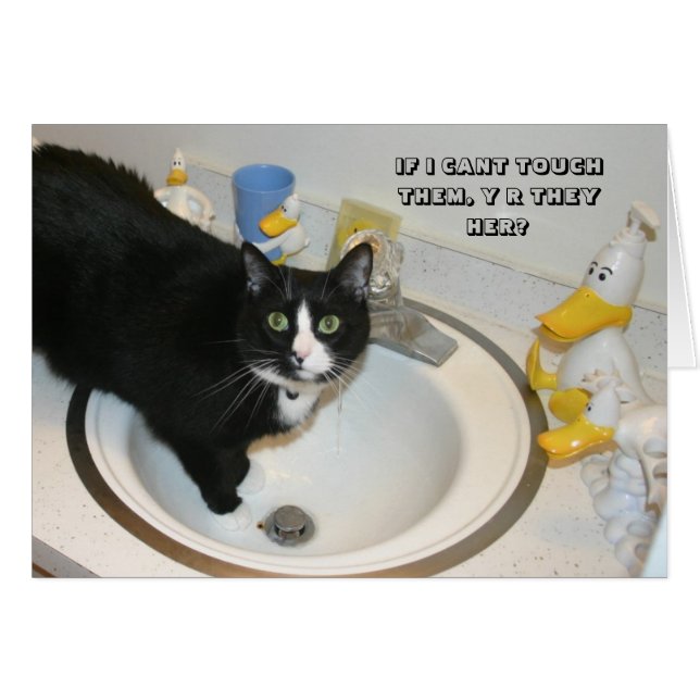 Carte LOL Cat (Devant horizontal)