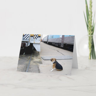 Carte Lonely Beagle Waiting For A Train - Greeting Card