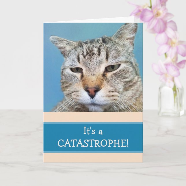 Carte Lonely Cat Custom Miss You (Orchidée)