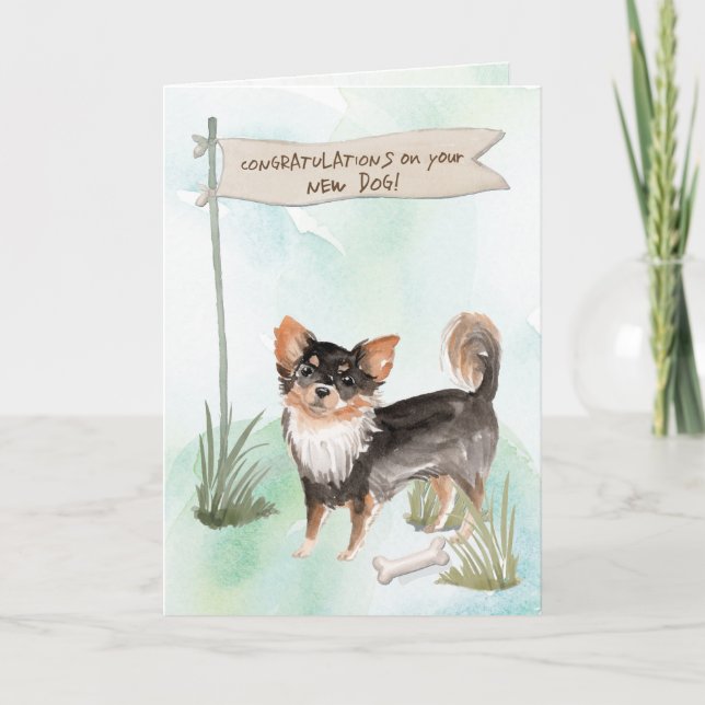 Carte Long Haired Chihuahua Félicitations pour le nouvea (Devant)