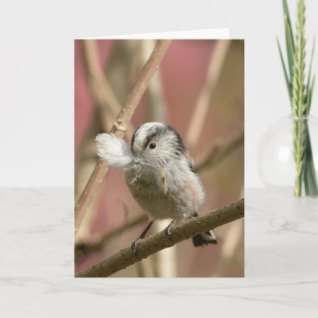Carte Long Tailed Tit with feather (Devant)