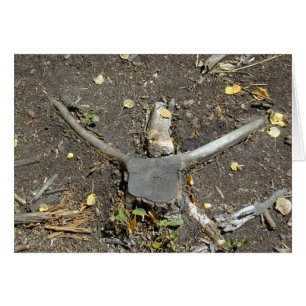 Carte Longhorn Illusion