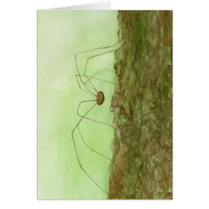 Carte longue pattes papa