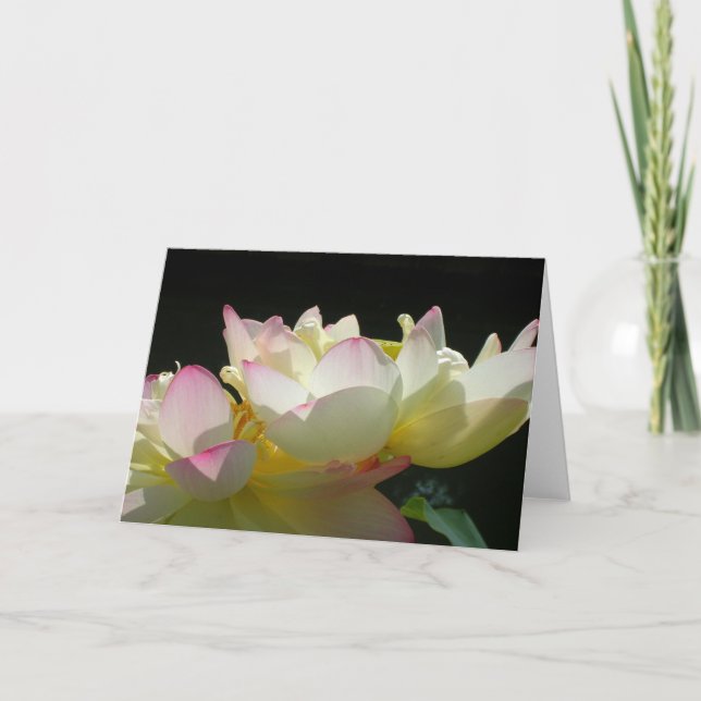 Carte Lotus (Devant)