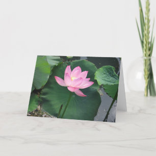 Carte Lotus