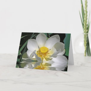 Carte Lotus blanc