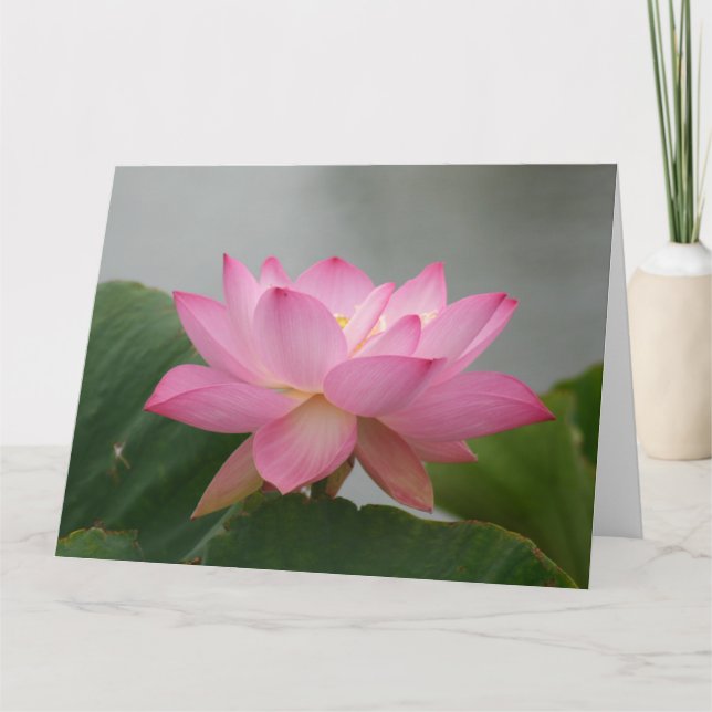 Carte Lotus Blossom Rose (Devant)