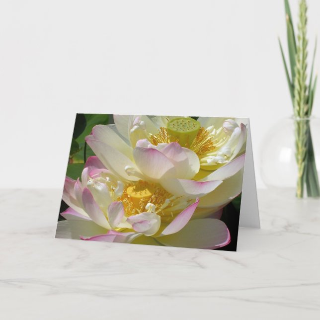 Carte Lotus Flower Duet (Devant)