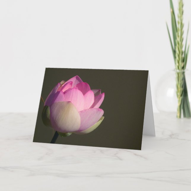 Carte Lotus Rose (Devant)