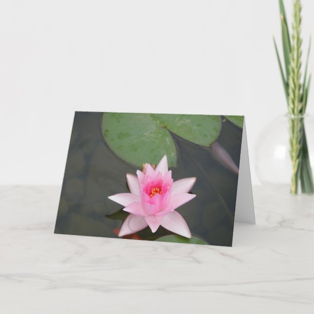 Carte Lotus rose (Devant)