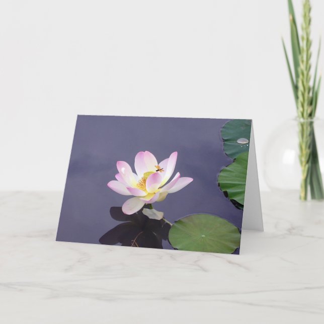 Carte Lotus rose avec la mouche de dragon (Devant)