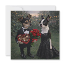 Louie & Luna vous souhaitent un joyeux Saint-Valen