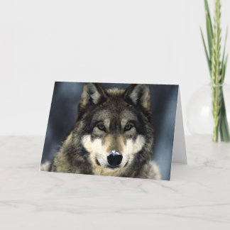 Carte Loup