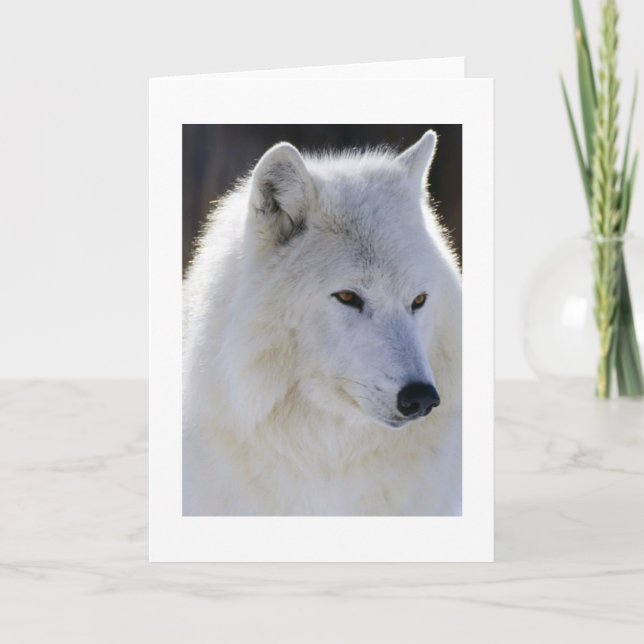 Carte Loup Blanc (Devant)